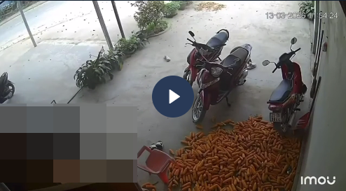 VI:DEO 0Che: Cân nhắc trước khi xem