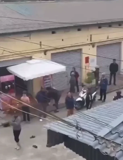 VI:DEO 0Che: Cân nhắc trước khi xem