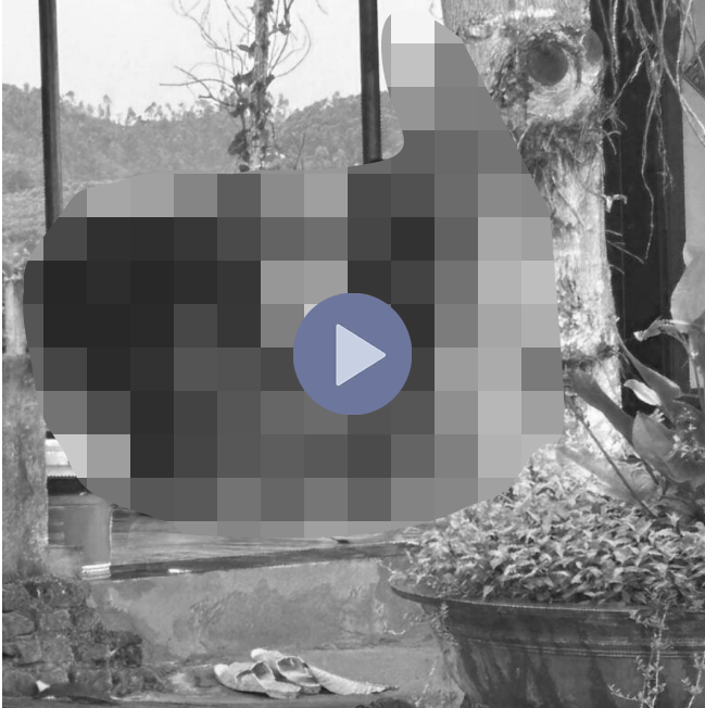 VI:DEO 0Che: Cân nhắc trước khi xem