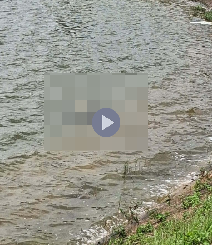 VI:DEO 0Che: Cân nhắc trước khi xem