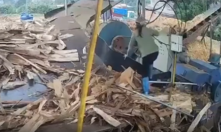 VI:DEO 0Che: Cân nhắc trước khi xem