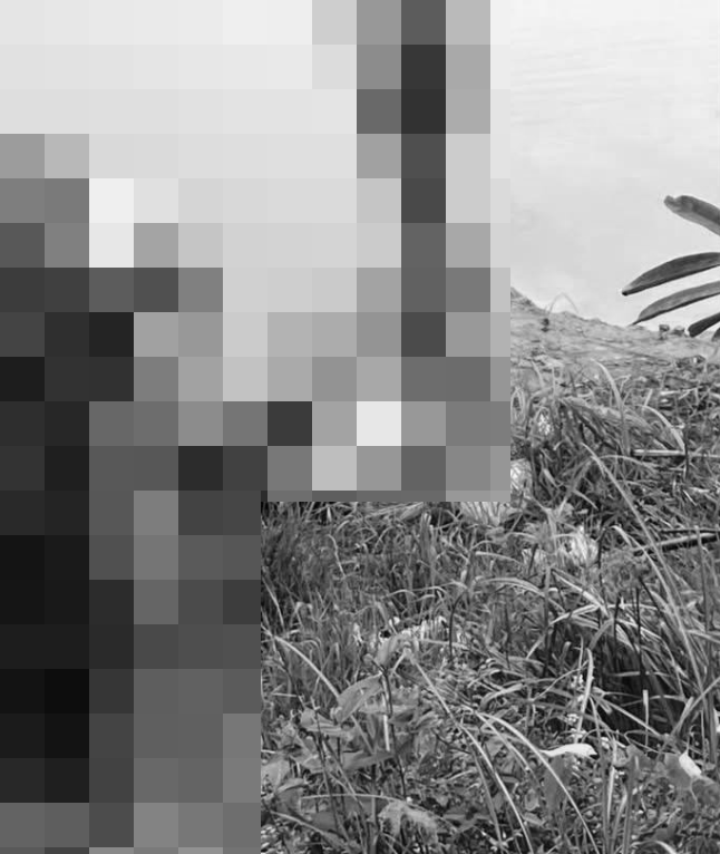 ẢNH 0CHE: Cân nhắc trước khi xem