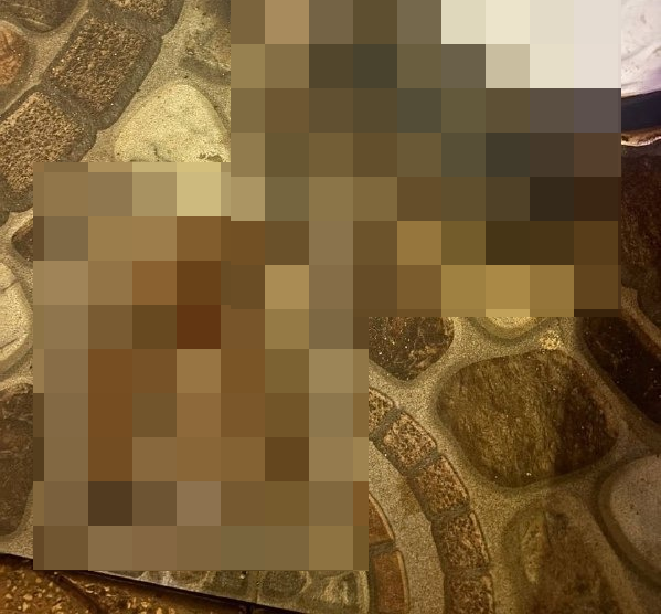 ẢNH 0Che: Cân nhắc trước khi xem