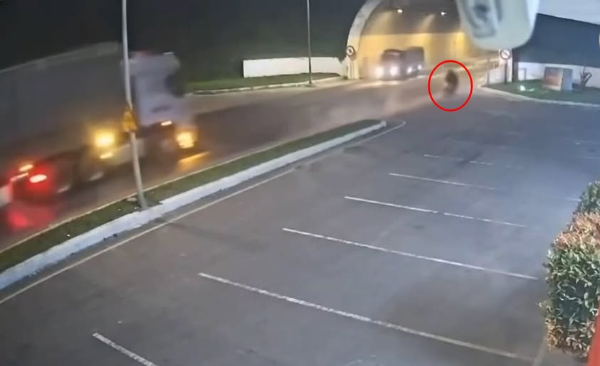 VI:DEO 0Che: Cân nhắc trước khi xem