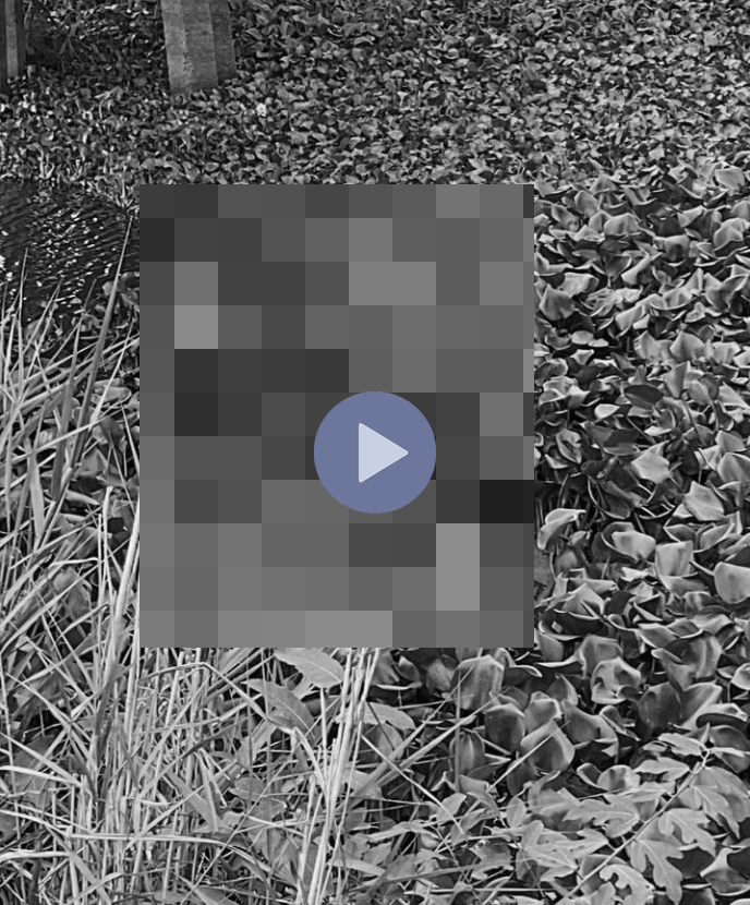 VI:DEO 0CHE: Cân nhắc khi xem