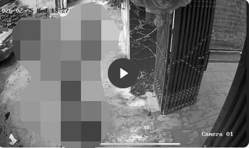 VI:DEO 0CHE: Cân nhắc khi xem