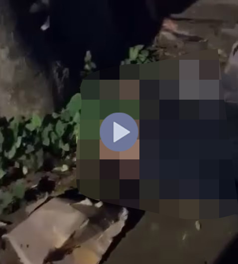 VI:DEO 0Che: Cân nhắc trước khi xem