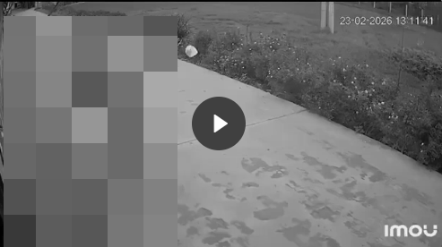 VI:DEO 0CHE: Cân nhắc khi xem