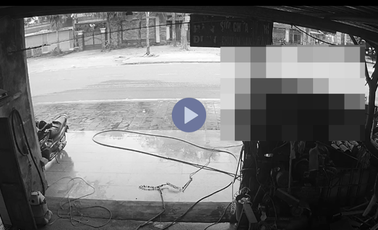 VI:DEO 0CHE: Cân nhắc khi xem