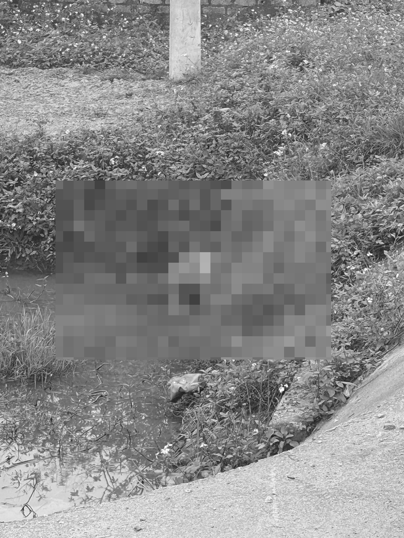 ẢNH 0CHE: Cân nhắc trước khi xem