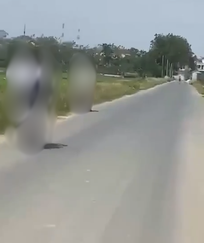 VI:DEO 0Che: Cân nhắc trước khi xem