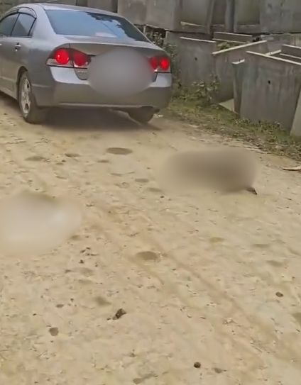 VI:DEO 0Che: Cân nhắc trước khi xem