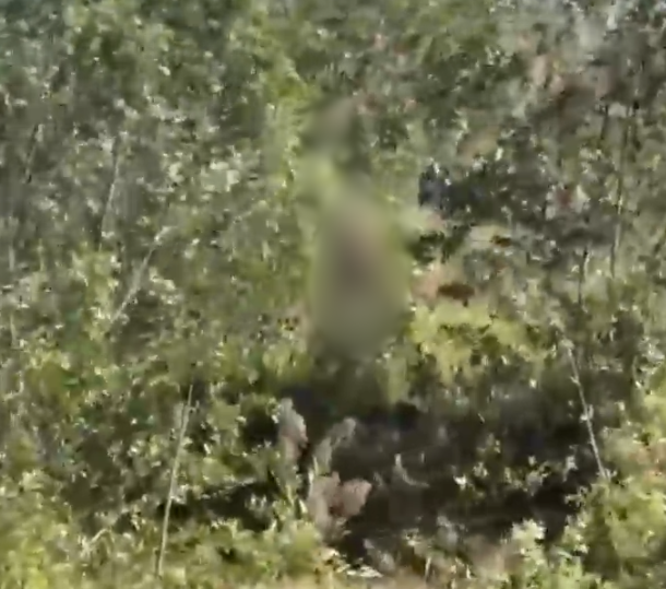 VI:DEO 0Che: Cân nhắc trước khi xem