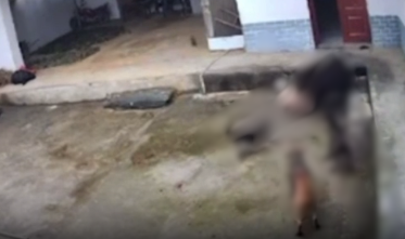 VI:DEO 0CHE: Cân nhắc khi xem