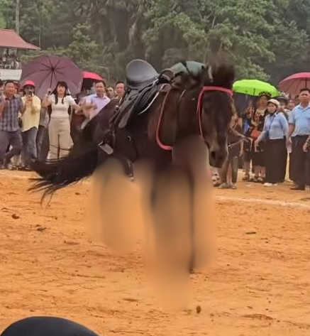 VI:DEO 0Che: Cân nhắc trước khi xem