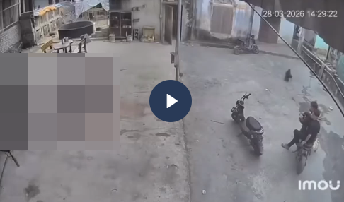 VI:DEO KHÔNG CHE: Toàn bộ diễn biến sự việc