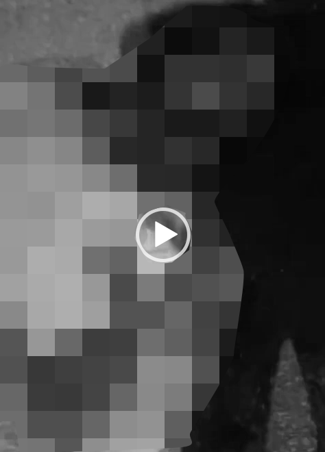 VI:DEO 0Che: Cân nhắc trước khi xem