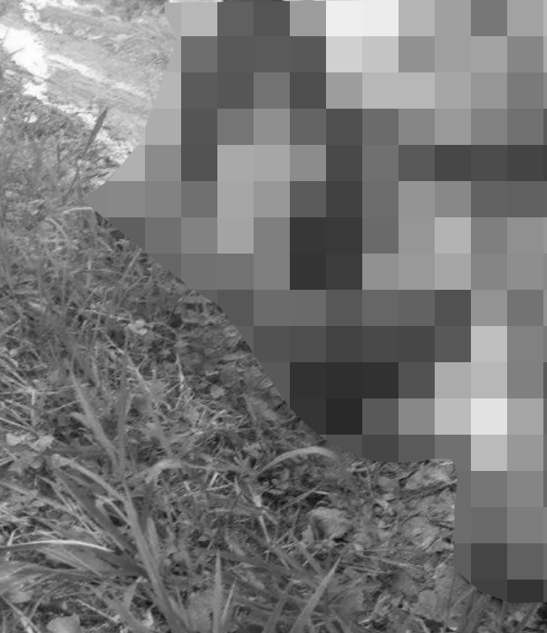 ẢNH 0Che: Cân nhắc trước khi xem