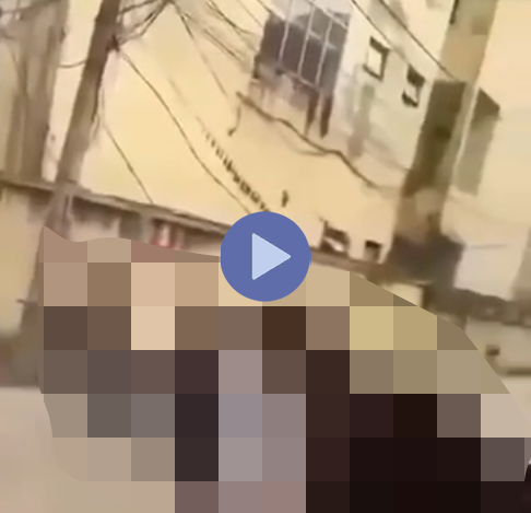 VI:DEO KHÔNG CHE: Toàn bộ diễn biến sự việc